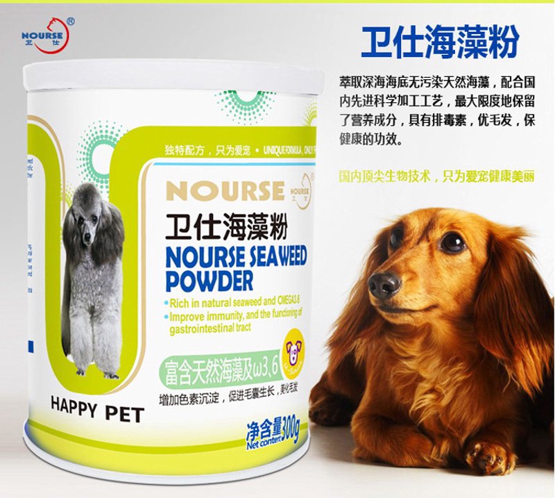 宠物智能喂食器：宠物主人的新宠神器