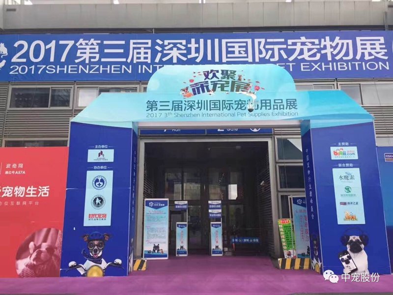 宠物自动饮水机：智能时代的宠物护理神器