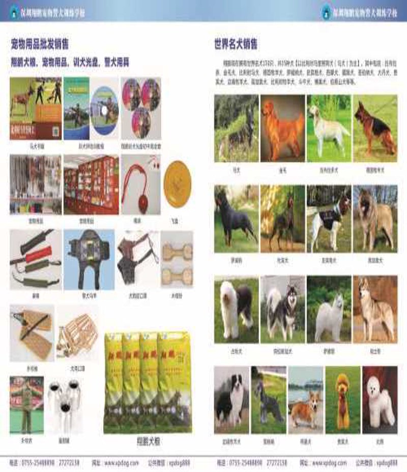 深圳宠物用品市场:活力与挑战并存