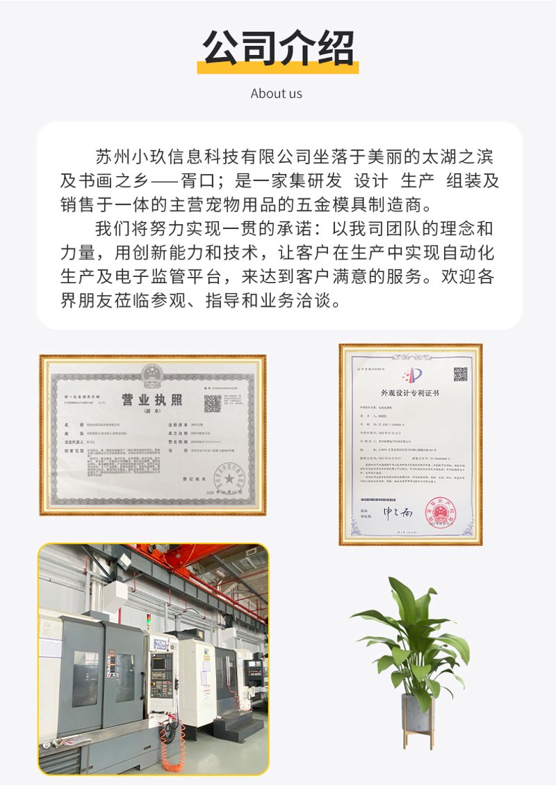 宠物护理的未来：科技如何改变宠物照顾体验？